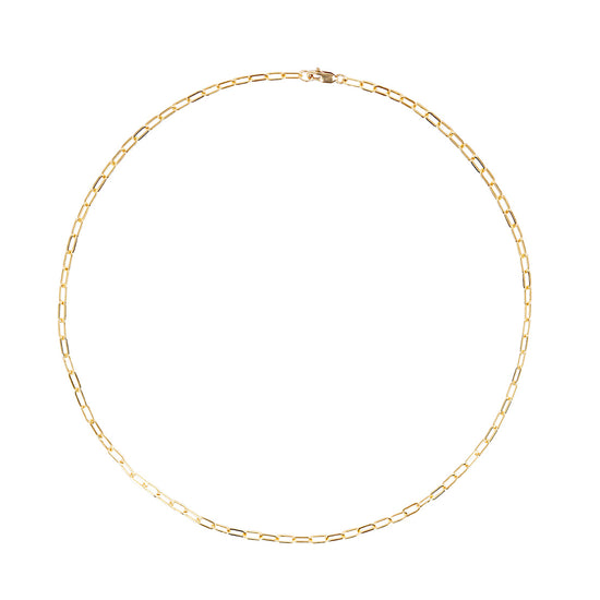 Strength (Gold Filled Chain Necklace)